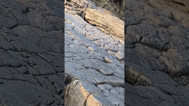 Дальний Восток Дело тонкое смотреть онлайн
