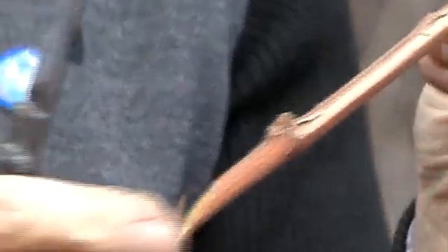 Наша дача Урок№6 смотреть онлайн