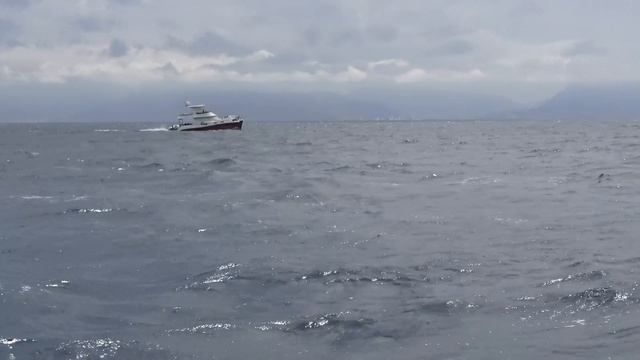 ? Красивый переход на яхте из Дении в Валенсию
