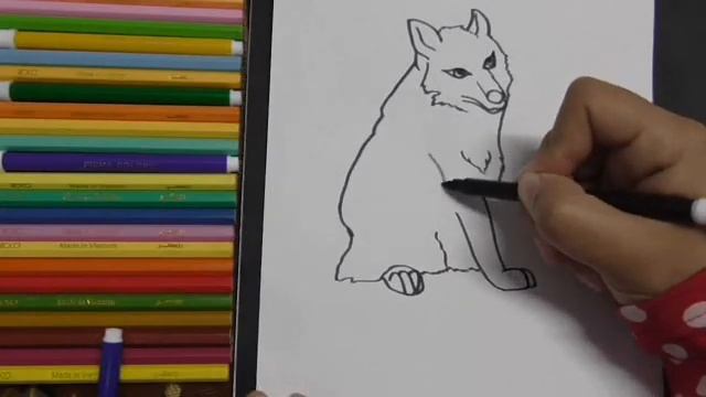 تعليم الرسم للاطفال | رسم ثعلب القطب الشمالى | الرسم بطريقه سهله وبسيطه للمبتدئين смотреть онлайн