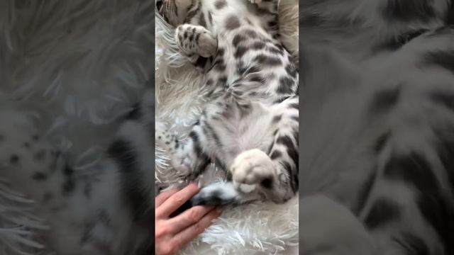 16 января 2023 г.