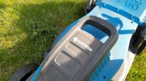 Как выглядит газон через три года. Сеял газон без подготовки. Лилипут. 2023.