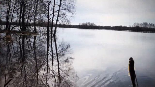 Ловим фидером белую рыбу в Каменке смотреть онлайн