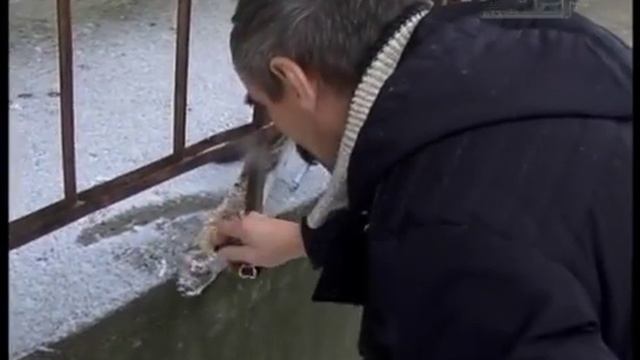 "МЕРТВАЯ ЗМЕЯ" смотреть онлайн