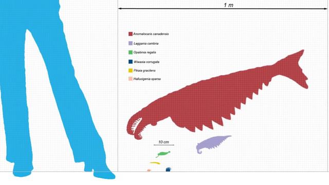 Top 10 Creepiest Extinct ANIMALS