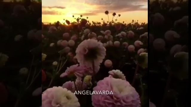 9 октября 2017 г. смотреть онлайн