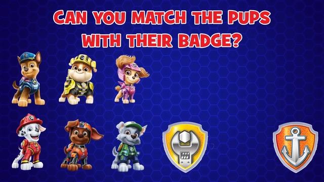 Sea Patroller Rescues | PAW Patrol Compilation | Cartoons For Kids