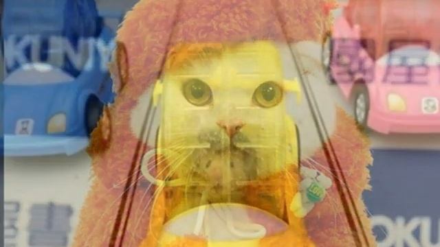дрессированные животные на детский праздник смотреть онлайн