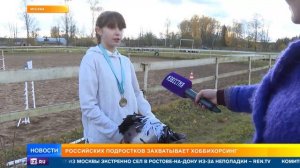 Хоббихорсинг