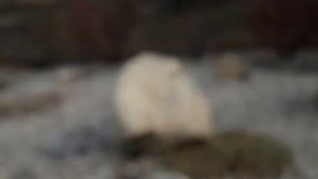 ДА ДА ДА АЛЛИЛУЙЯ АМИНЬ смотреть онлайн