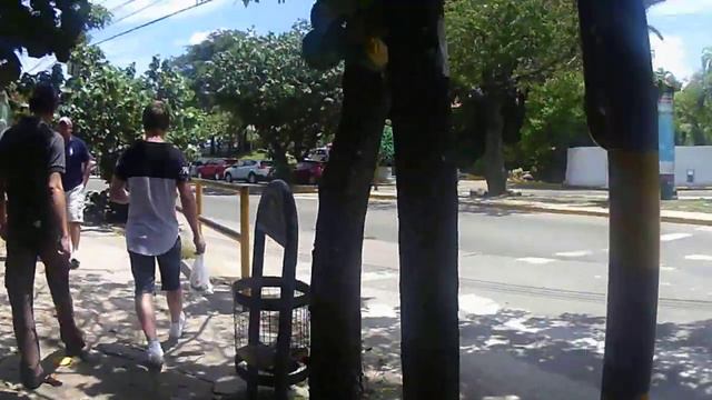 Боливия без монтажа (1) Идём в Зоопарк Начало смотреть онлайн