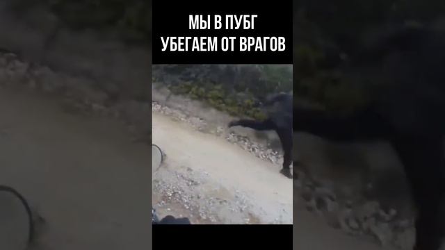 ЗАЧЕМ СРАЖАТЬСЯ? #game #pubg #battleground #пубг #игры #мем #memes смотреть онлайн