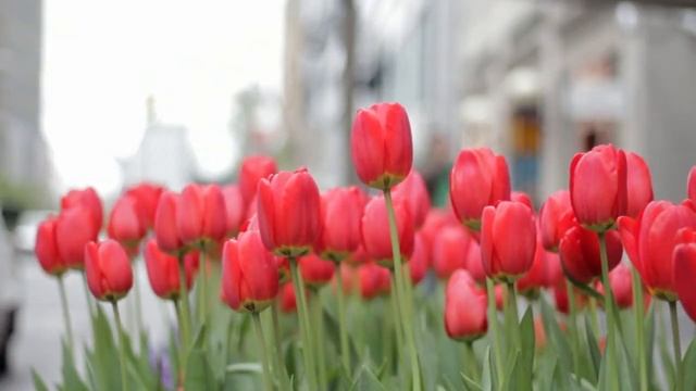 29 апреля Самый Счастливый День, что нельзя делать. Лунный день сегодня Эзотерика для тебя смотреть онлайн