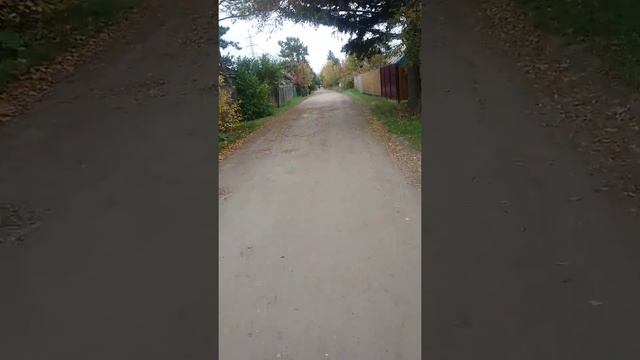 Мчимся на дачу! какая красота и спокойствие! смотреть онлайн