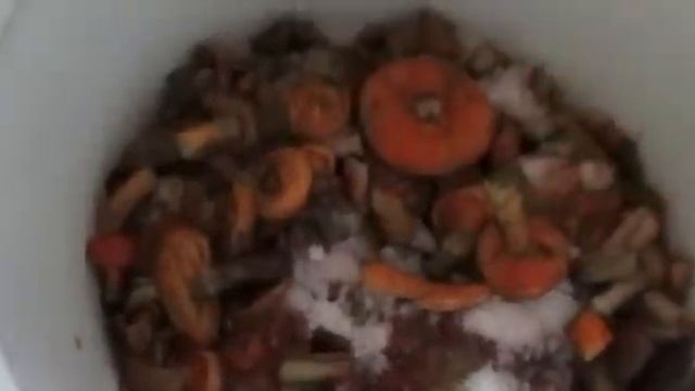 Засолка рыбы и икры в домашних условиях