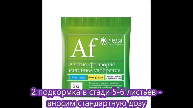 Гладиолусы. Подкормки 1,2,3. Уход. смотреть онлайн