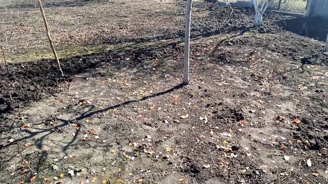 Печь в сельской хате#село#печь#малина#деревня смотреть онлайн