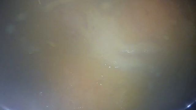 Как быстро сварить говяжье вымя. Как готовить коровье вымя смотреть онлайн