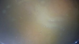 Как быстро сварить говяжье вымя. Как готовить коровье вымя