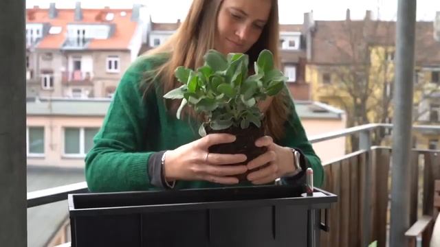 Кашпо с системой автополива Lechuza Balconera Stone смотреть онлайн