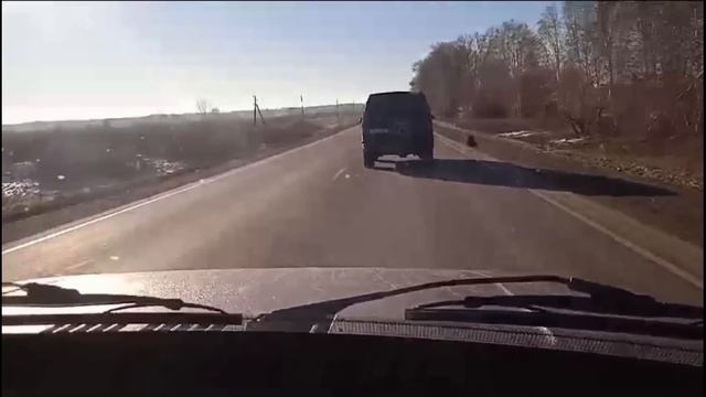 Беспредел!!! Егеря закончился позорным провалом Чумлякское охот хозяйство курганская область смотреть онлайн