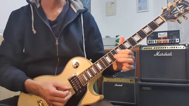 Iron Maiden - Powerslave - Dave Murray First Guitar Solo смотреть онлайн