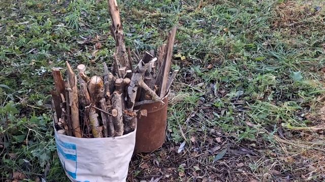 Весело в ТРУДАХ и ЗАБОТАХ проживаем осень