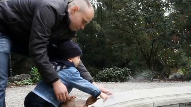 Прогулка в парках Праги! Семейная история любви, архив. смотреть онлайн
