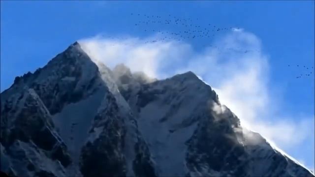 Стихи о любви и природе автор -Инна Лобастова - Стырова -читает Ирина Украинец "Ветер и тень" смотреть онлайн