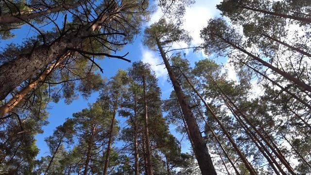 ЗАПИСКИ. ГОЛОДАНИЕ. Малахов. № 6. смотреть онлайн