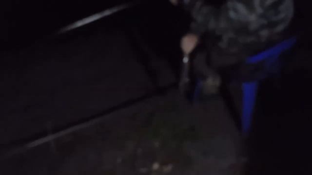 Вечерняя рыбалка на сазана смотреть онлайн