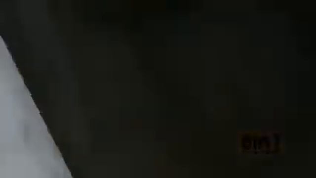 Охота на крысу с собаками (свалке) смотреть онлайн