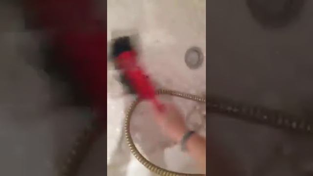 Лабрадор в грязи или опять весна смотреть онлайн