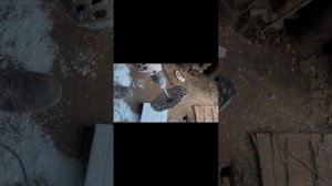 Как сделать гнездо с пенопласта 🪹 для голубей за 2 минут своими руками …