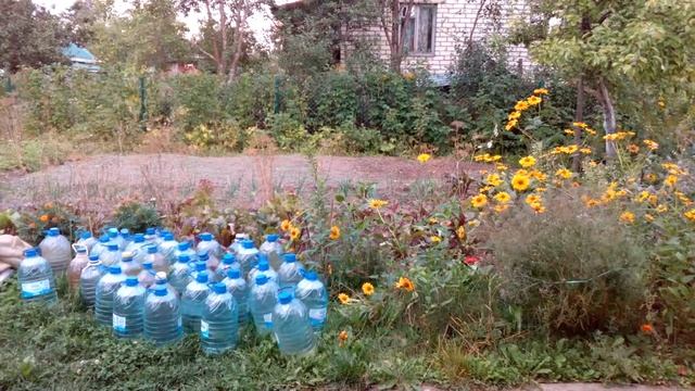 Лайфхак для дачи. Использование пустых бутылей от воды.
