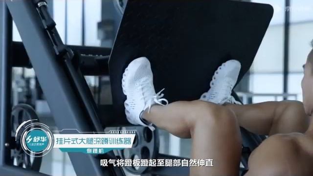 Жим ногами под углом вверх 6874 от SHUA смотреть онлайн