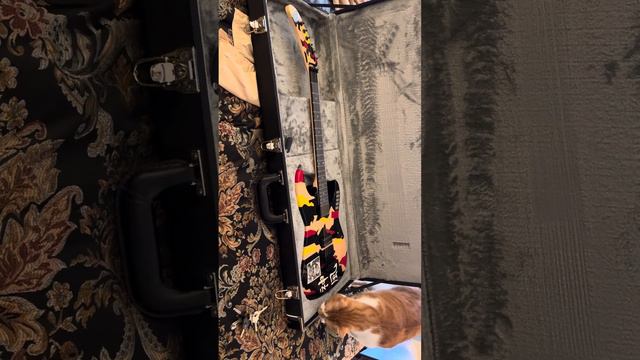 Fanta inspects my new ESP Guitar смотреть онлайн