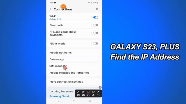 Galaxy S23 / Plus : Find The IP Address