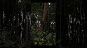 Россия-красота!