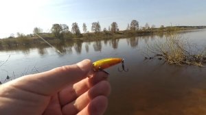 Воблеры TsuYoki радуют и огорчают .