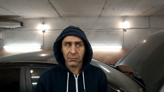 Всё тот же тигуан ,он же Гансик. Долечили. смотреть онлайн