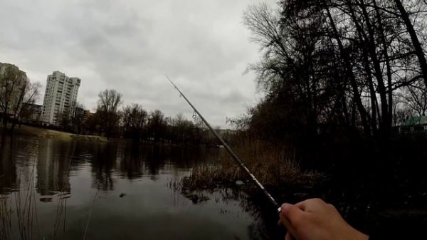 Favorite Skyline 832L - весенняя ловля окуня на дропшот. Съедобная резина Keitech Shad Impact