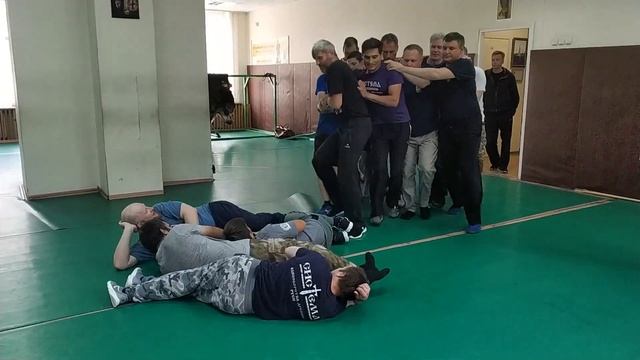 2020 Systema Ryabko Int seminar. Survival in the crowd смотреть онлайн
