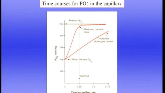7 Pulmonary Gas Exchange Part I J West