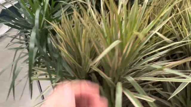 Що я купила в Ікея?/ товари для дому з Ікея в Канаді смотреть онлайн