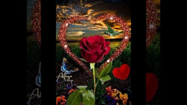 Beautiful Rose Hart ❤️❤️ DPz For WhatsApp,Instagram, Facebook Or Wallpapers 🥰🥰