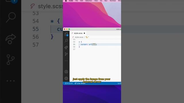 CSS Custom Cursors #webdevelopment #javascript #programming #vscode #softwareengineer #css #coding смотреть онлайн