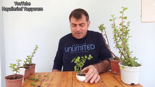 Bu Bitki Ile Neler Yapılır Neler