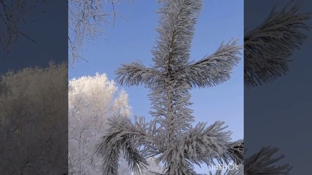 Томская зима/ Стихи про зиму/ Читает автор канала‐ Дыхание любви ❄❄❄ смотреть онлайн
