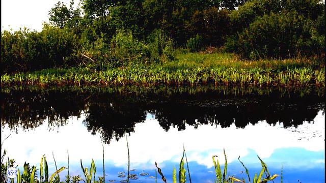 Расслабляющие Звуки Природы в близи Русской Деревни смотреть онлайн
